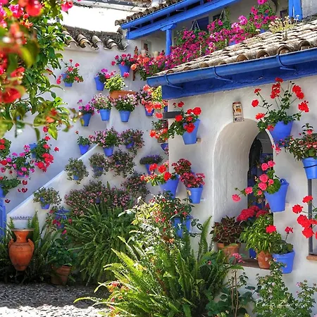 Appartamento Hz Centro