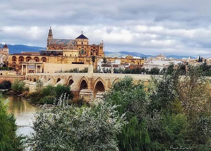 Hz Centro Lejlighed *